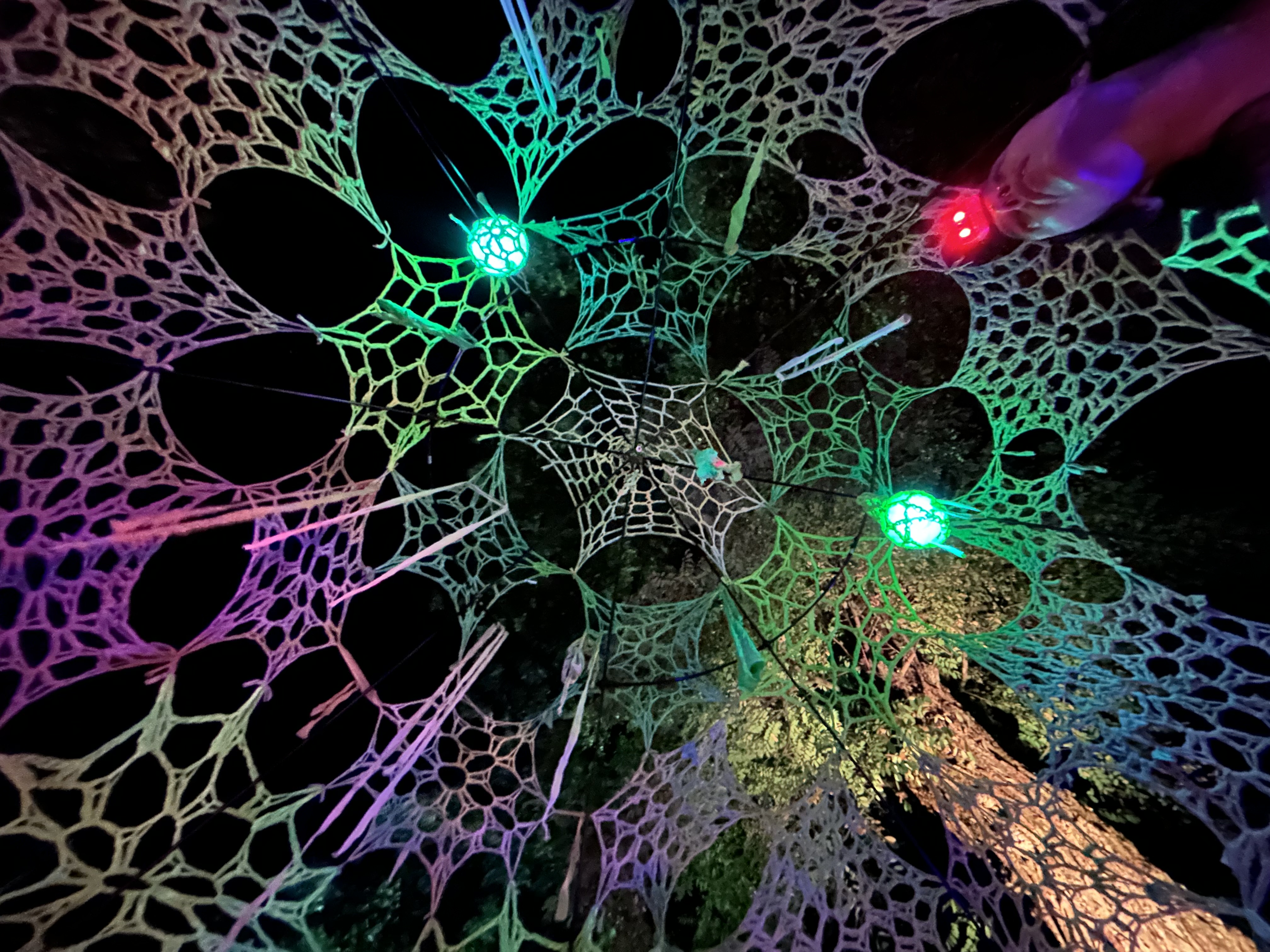 The Cocoon by Karla Luna, gallery view 4