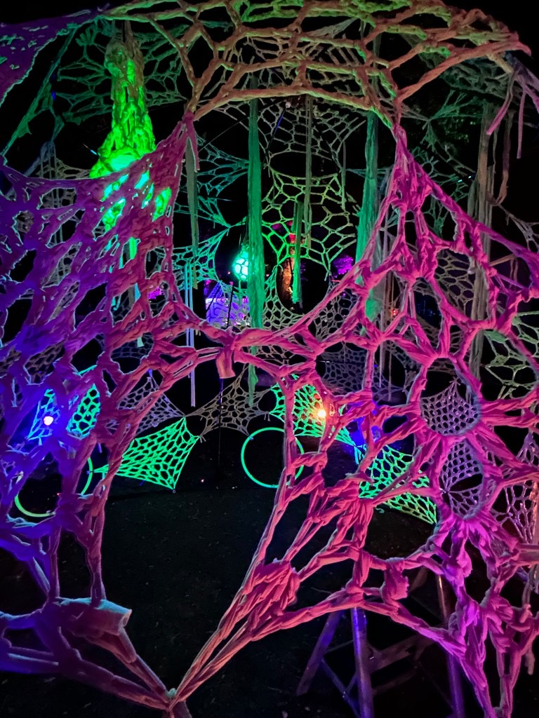 The Cocoon by Karla Luna, gallery view 8